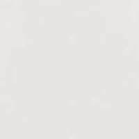 Boys 8-20 Polo Bear Cotton Jersey T-Shirt