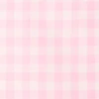 Boys 8-20 Gingham Cotton Poplin Shirt