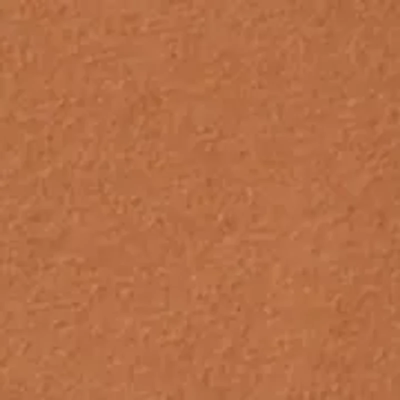 Boys 4-7 Long Sleeve Deer Graphic T-Shirt