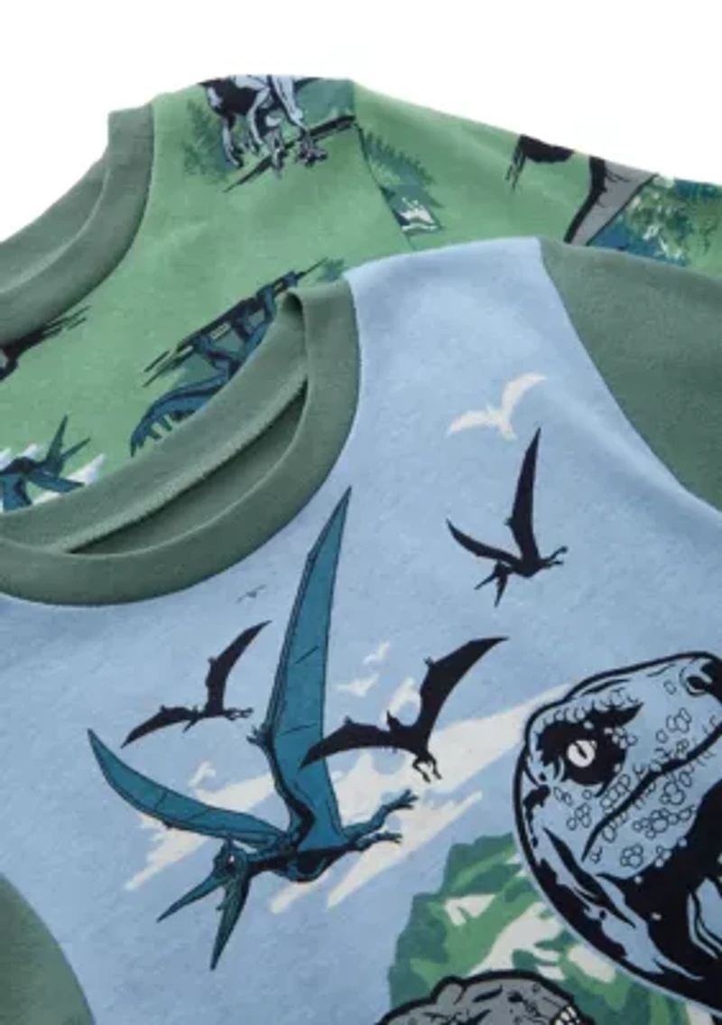Boys 4-10 Dinosaur Pajama Set