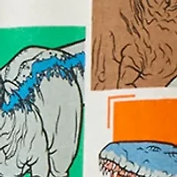 Boys 8-20 Jurassic World "Land, Air, Sea, Roar" Pajama Set
