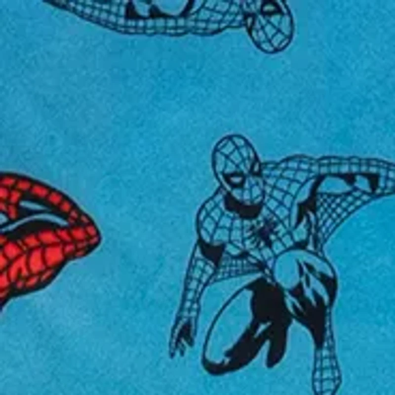 Boys 4-10 Spidey Power Printed Pajama Set