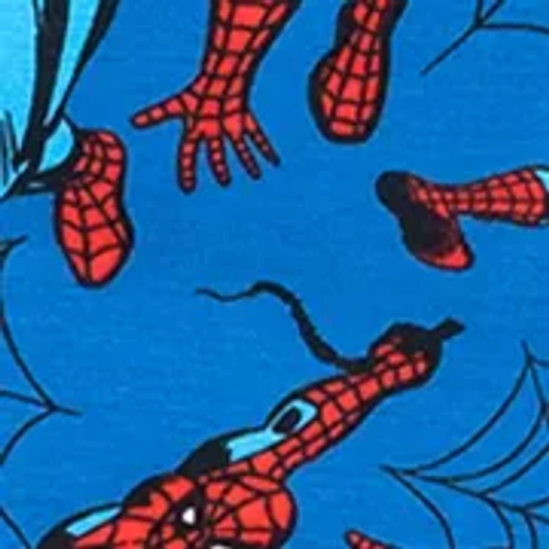 Boys 8-20 Spiderman Pajamas