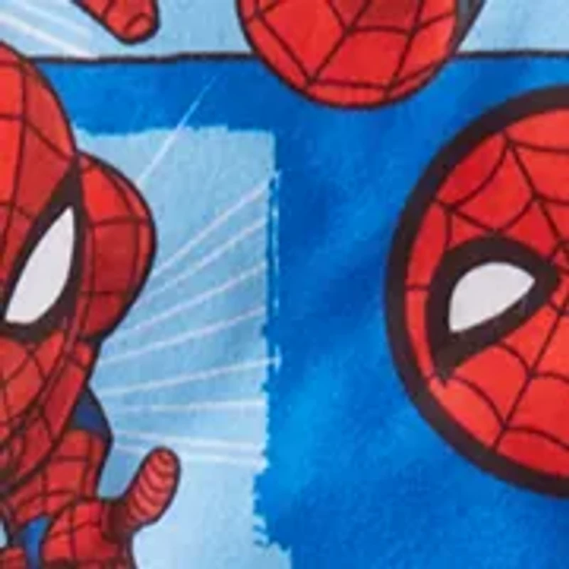 Boys 8-20 Spider-Man Notch Pajama Set