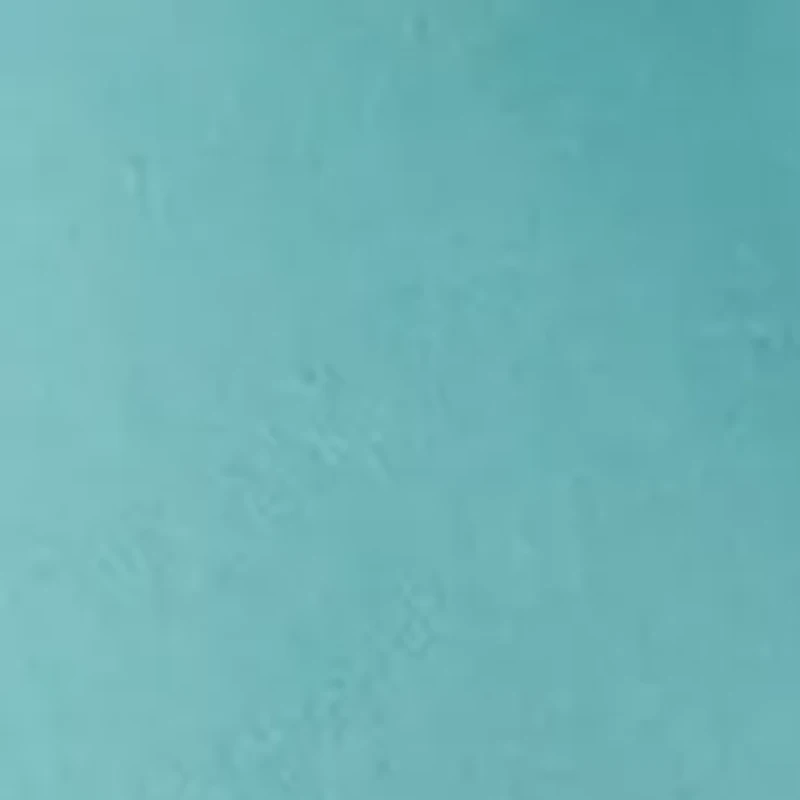 Boys 8-20 Pull On Chino Shorts