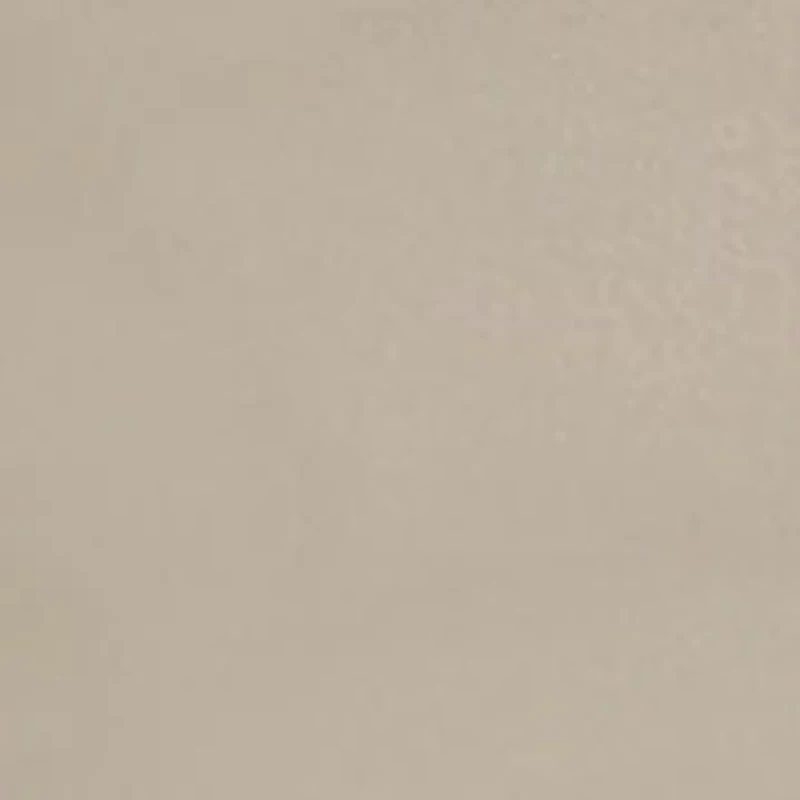 Boys 8-20 Performance Shorts