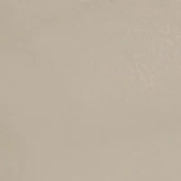 Boys 8-20 Performance Shorts