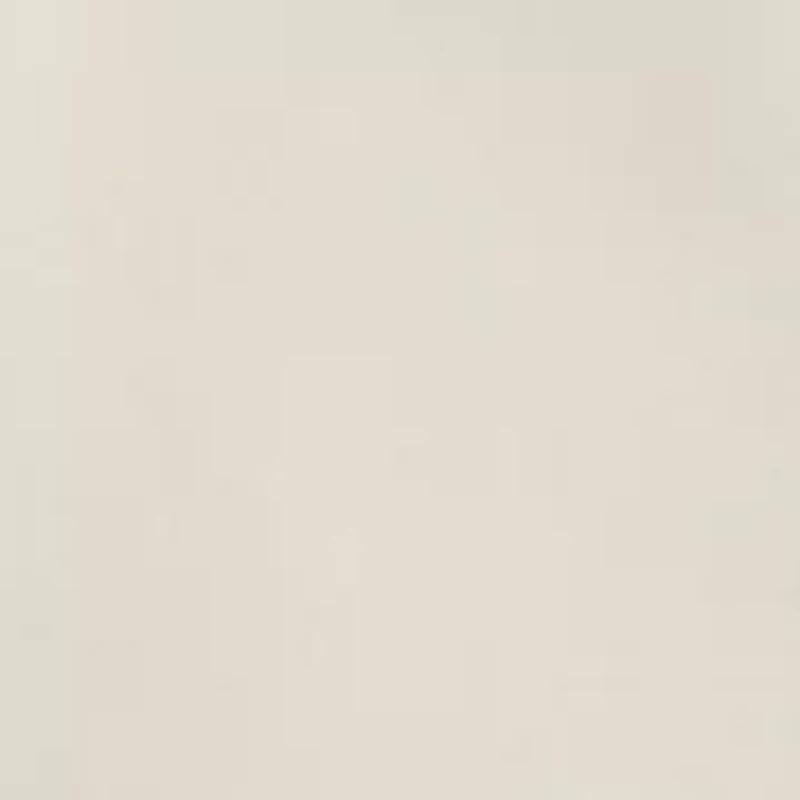 Boys 8-20 Embroidered Shorts