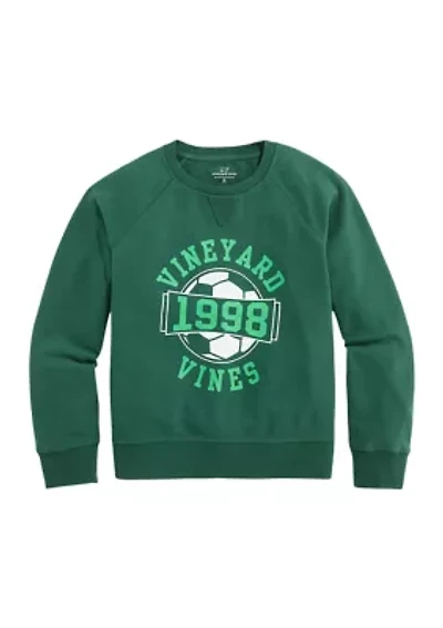 Boys 8-20 Graphic Crew Neck Pullover