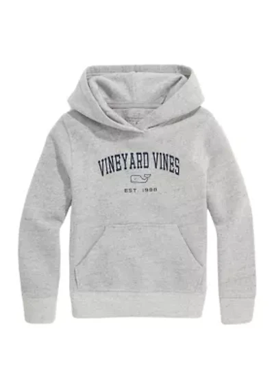 Boys 8-20 Graphic Hoodie