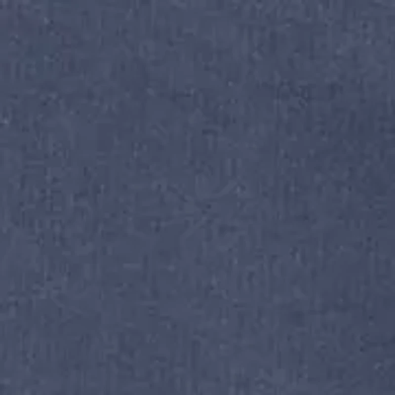 Boys 8-20 Vinatge Whale Logo Hoodie