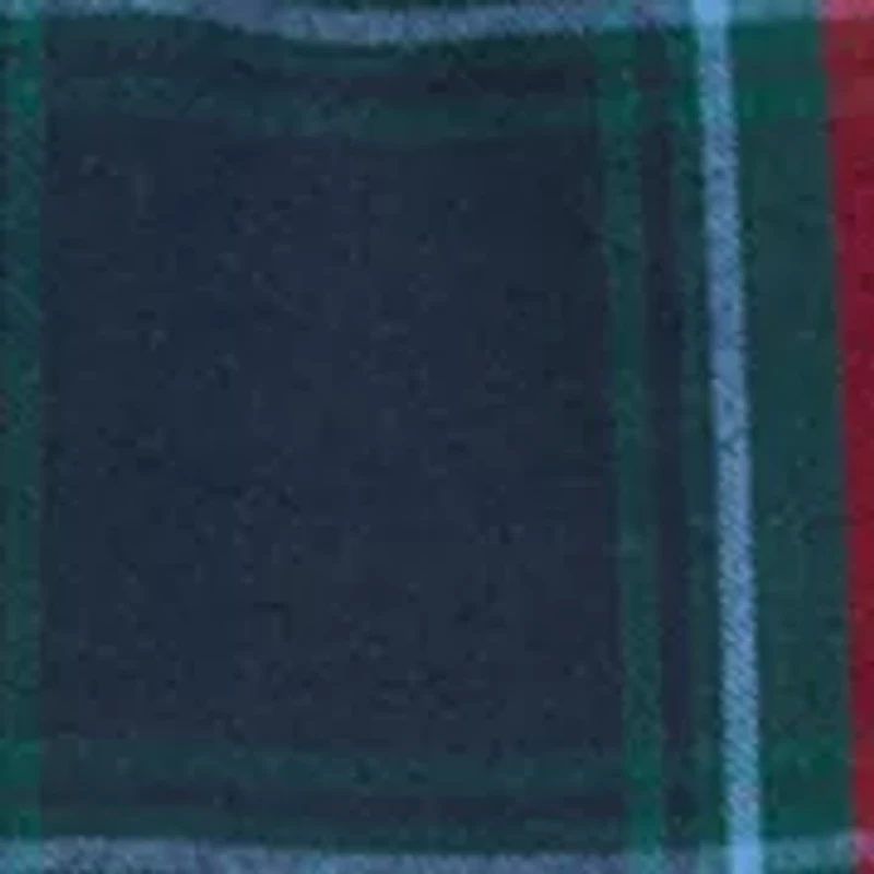 Boys 8-20 Santa Whale Fleece Lounge Pants