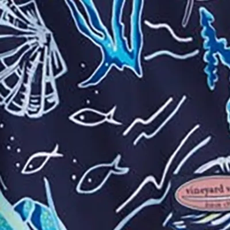 Boys 8-20 Printed Chappy Swim Trunks