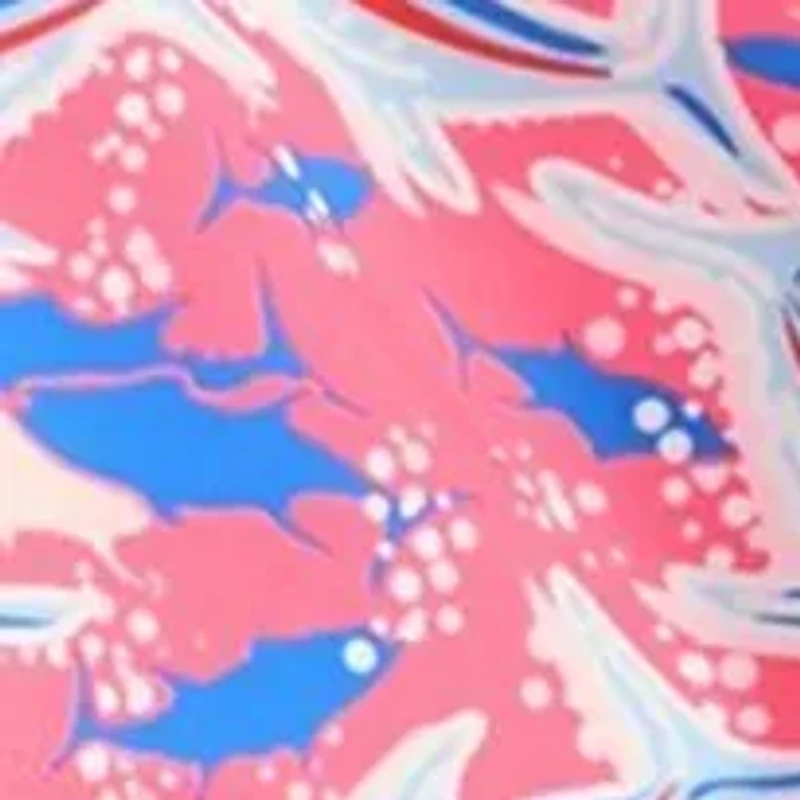 Boys 8-20 Printed Chappy Swim Trunks