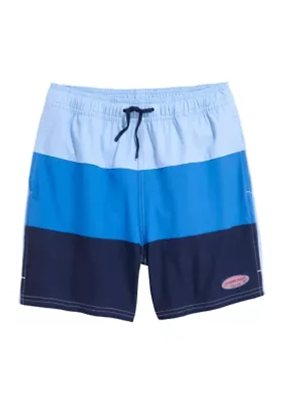 Boys 8-20 Color Block Board Shorts