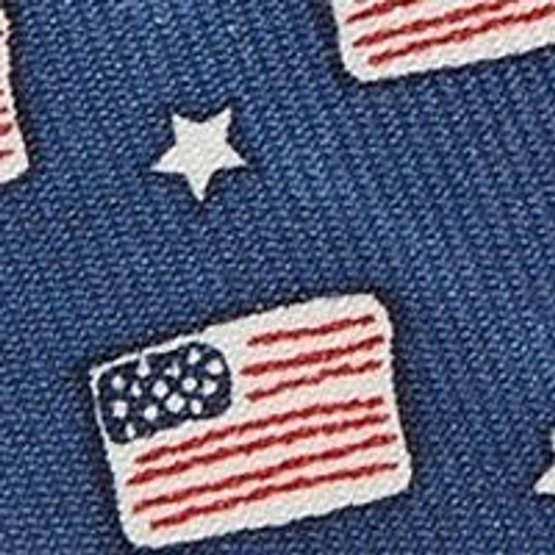 Boys Flag and Stars Tie