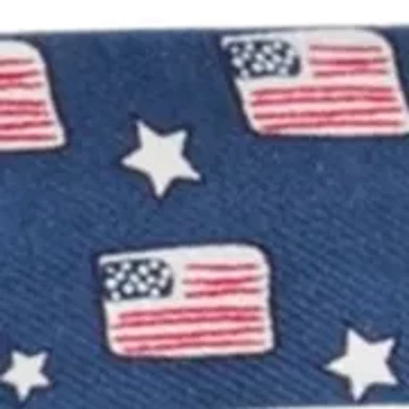 Boys 8-20 Flags and Stars Bow Tie 