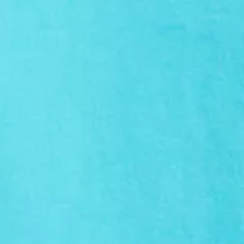 Boys 8-20 Florita Palm Short Sleeve T-Shirt