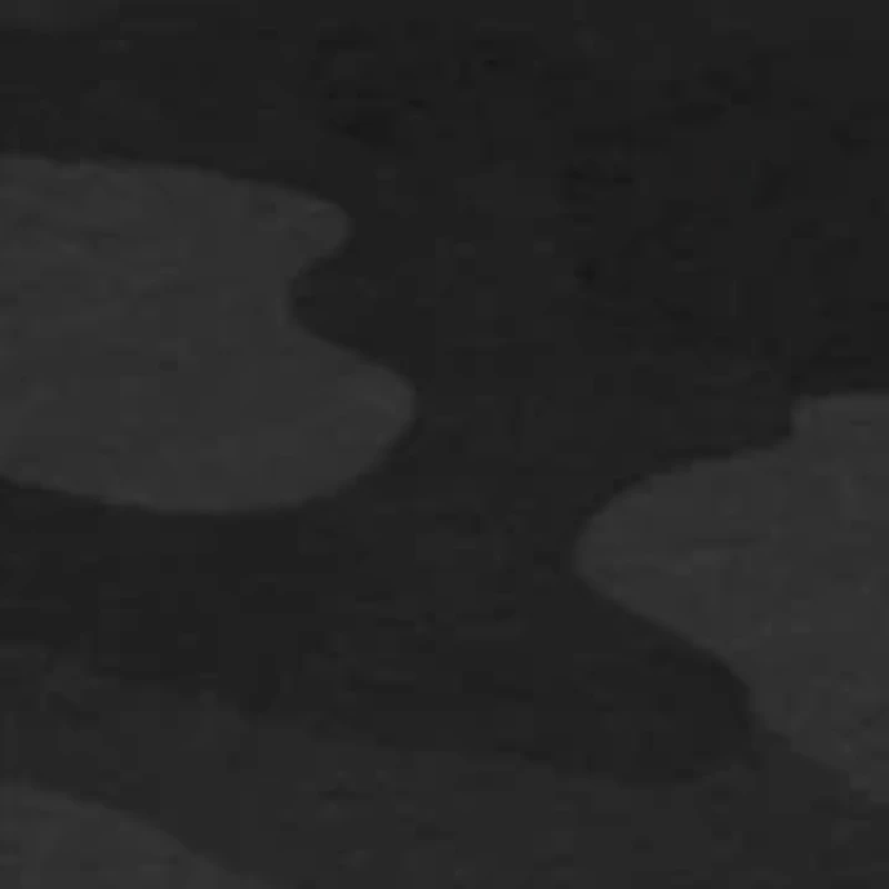 Boys 8-20 Camo Salty Sailing Graphic Youth Hoodie