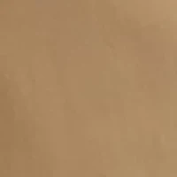 Boys 8-20 Tan Stretch Pants