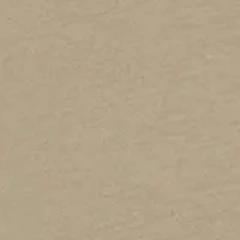 Boys 8-20 Dog Wave Graphic T-Shirt