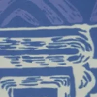 Boys 8-20 Surfsilk Printed Volley Swim Shorts