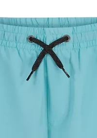 Boys 8-20 Everyday Comp Liner Volley Board Shorts