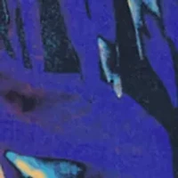 Boys 8-20 Tropical Swim Shorts