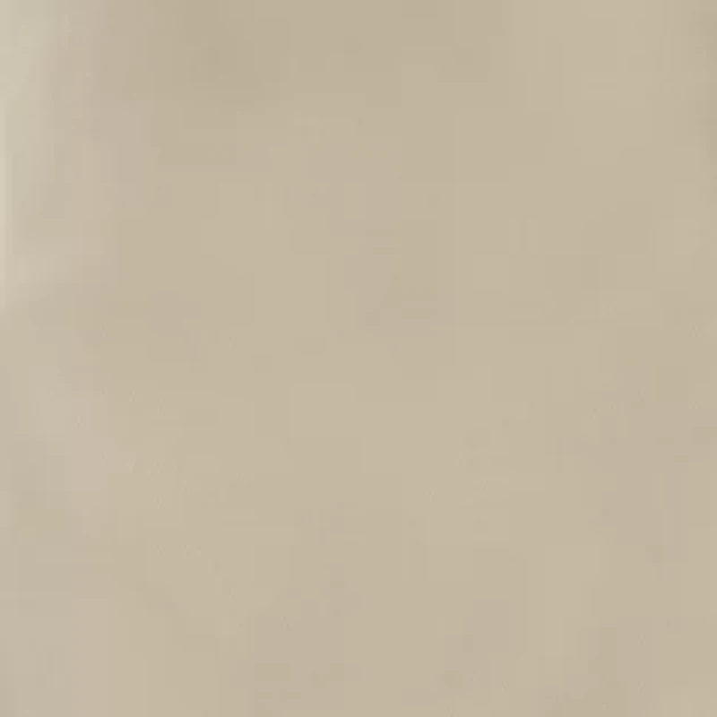 Boys 8-20 Flat Front Twill Short