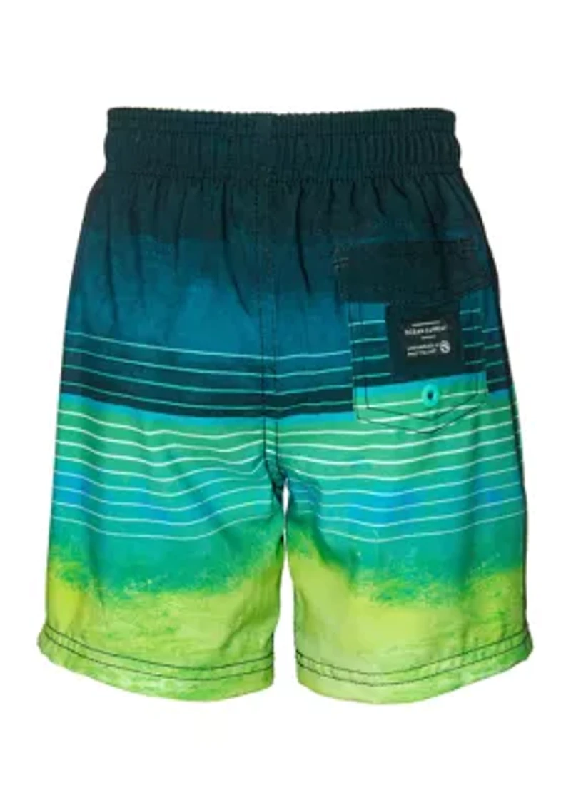 Boys 8-20 Stripe Swim Trunks