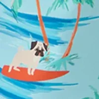 Boys 8-20 Dog Swim Stretch Volley Shorts