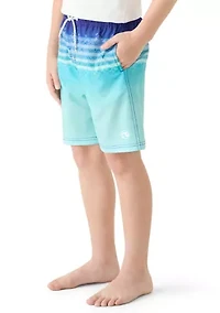 Boys 8-20 Stripe Volley Swim Trunks