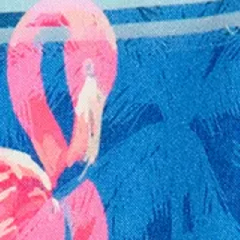 Boys 4-7 Stripe Flamingo Swim Shorts with Mesh Liner