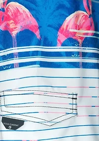 Boys 4-7 Stripe Flamingo Swim Shorts with Mesh Liner