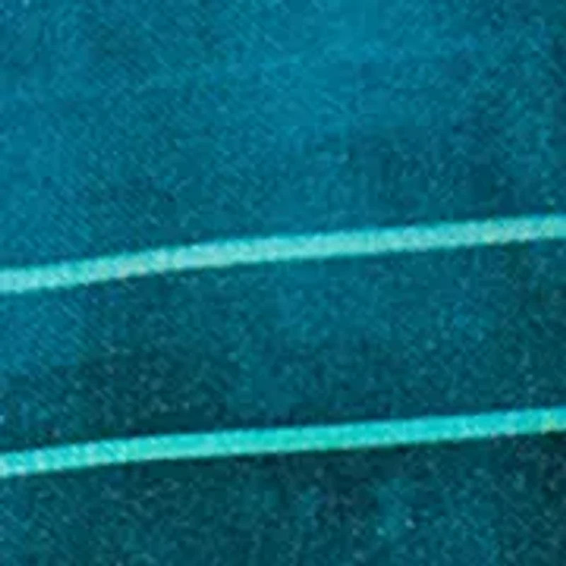 Boys 4-7 Stripe Swim Trunks