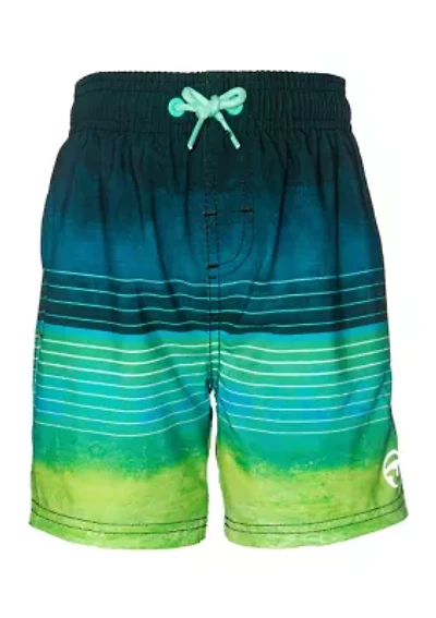Boys 4-7 Stripe Swim Trunks