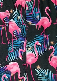 Boys 4-7 Flamingo Swim Trunks