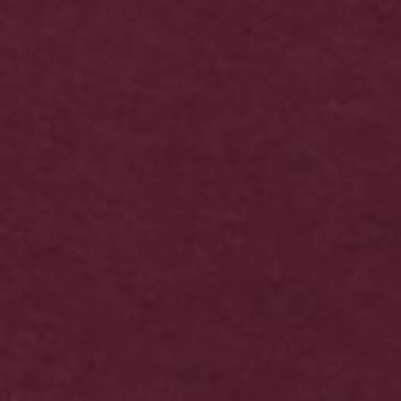 Boys 8-20 NCAA Mississippi State Bulldogs Hoodie