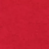 Boys 8-20 NCAA NC State Wolfpack Hoodie