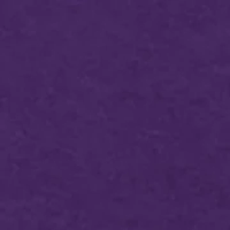 Boys 8-20 NCAA TCU Horned Frogs Hoodie