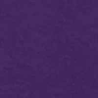 Boys 8-20 NCAA TCU Horned Frogs Hoodie