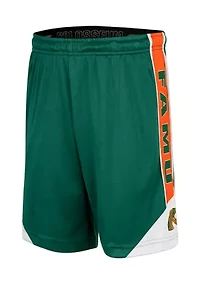 Youth HBCU Florida A&M Rattlers Haller Shorts