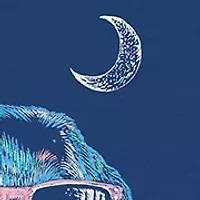 Boys 4-7 Beach Lab Graphic T-Shirt