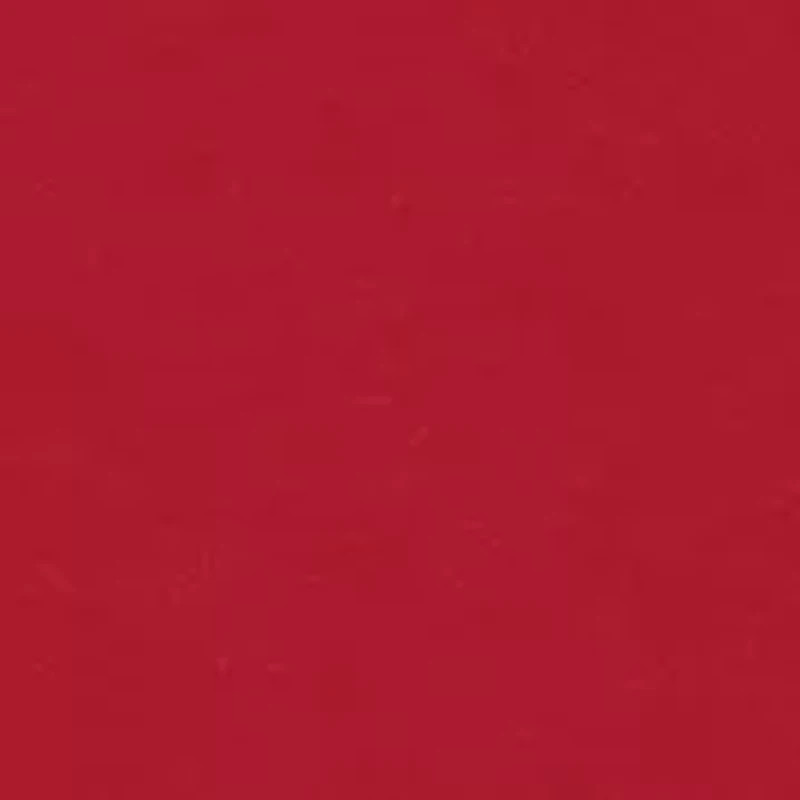 Boys 4-7 Santa and Dog Long Sleeve Graphic T-Shirt