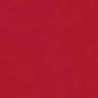 Boys 4-7 Santa and Dog Long Sleeve Graphic T-Shirt