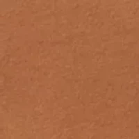 Boys 4-7 Southern Farms Long Sleeve Shirt