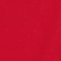 Boys 8-20 Southern Tested Graphic T-Shirt