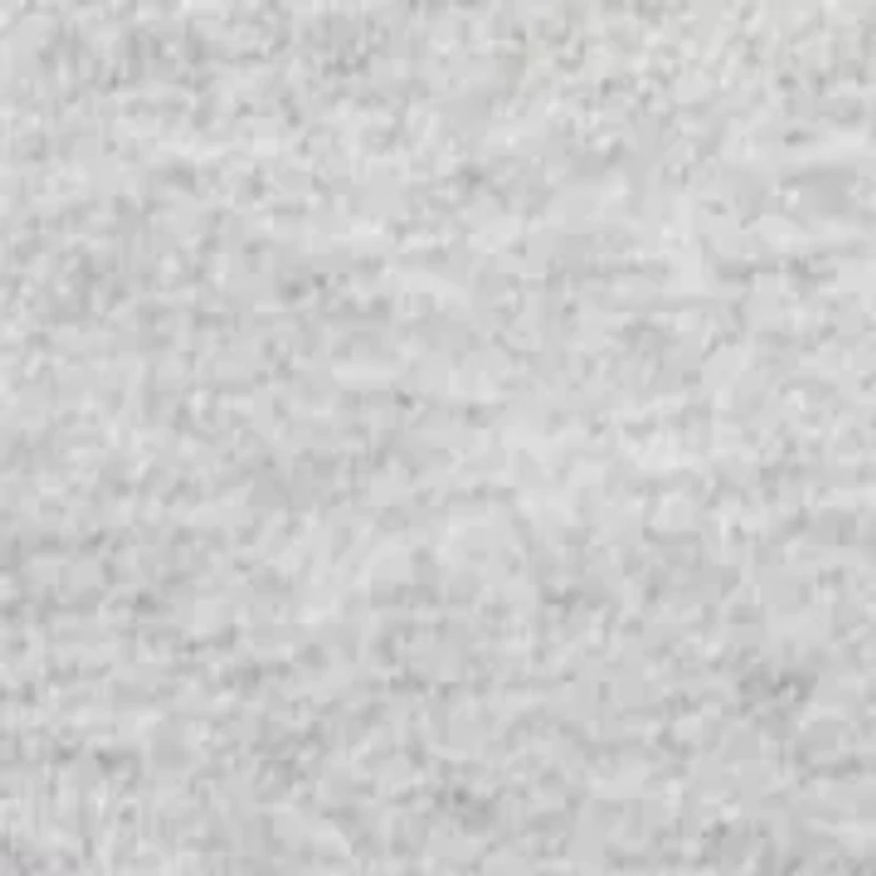 Boys 4-7 Alabama State Icon Short Sleeve T-Shirt