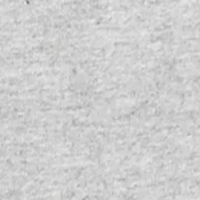 Boys 4-7 Florida State Icon Short Sleeve T-Shirt