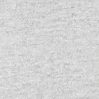 Boys 4-7 North Carolina State Icon Short Sleeve T-Shirt